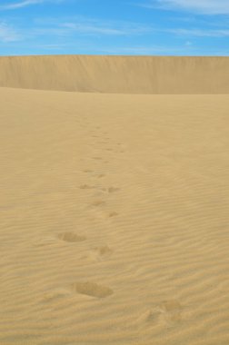 dunes Maspalomas 3 parça ayak