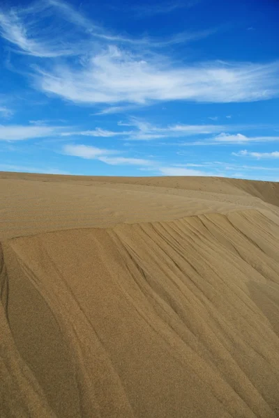 Dunes of maspalomas 3 — Stock Photo, Image