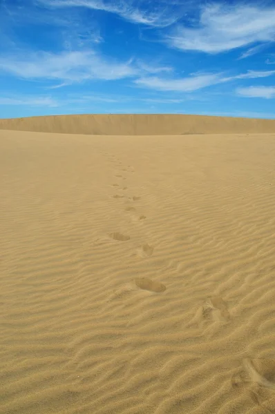 Sentiers pédestres dans les dunes de maspalomas 2 — Photo
