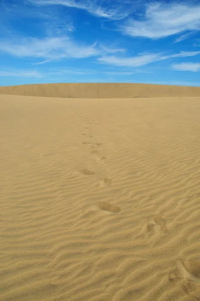 Pegadas nas dunas dos maspalomas 2 — Fotografia de Stock