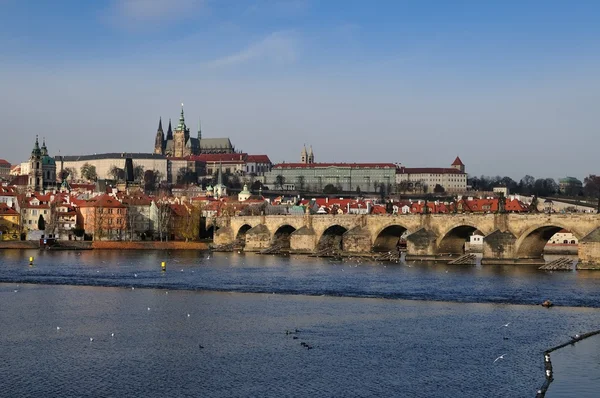Prague at day — Stock Photo, Image