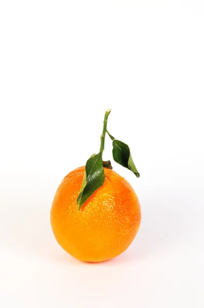 Laranja — Fotografia de Stock