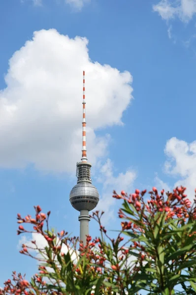 Torre de televisão berlin e flores — Fotografia de Stock