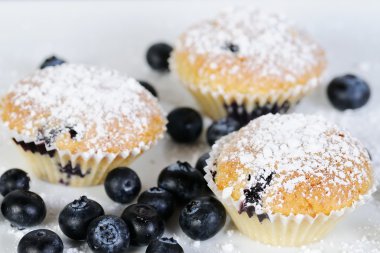 Blueberry muffins kayrak üzerine pudra şekeri ile