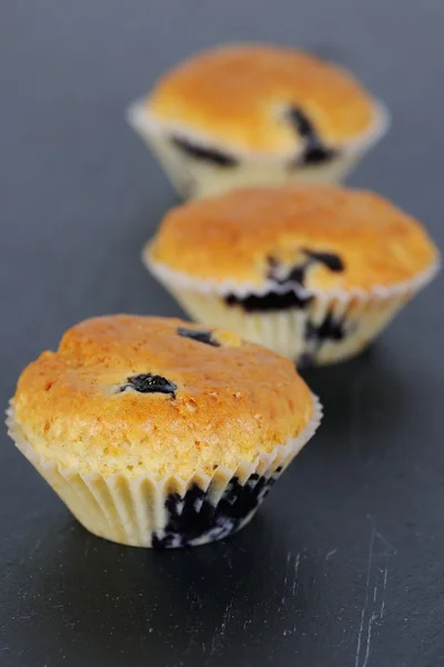 Three blueberry muffins on slate — Stock Photo, Image