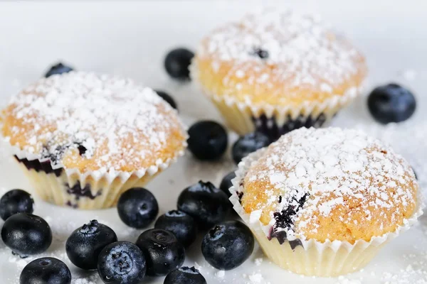 Blueberry muffins with powdered sugar on slate — Stock Photo, Image