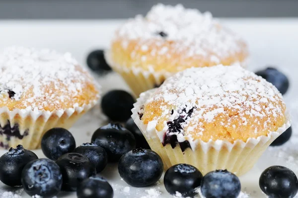 Three sweet blueberry muffins with powdered sugar on slate — Stock Photo, Image