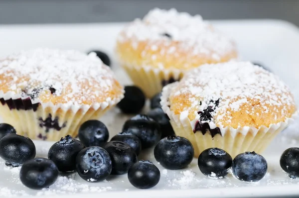 Sweet blueberry muffins with powdered sugar on slate — Stock Photo, Image