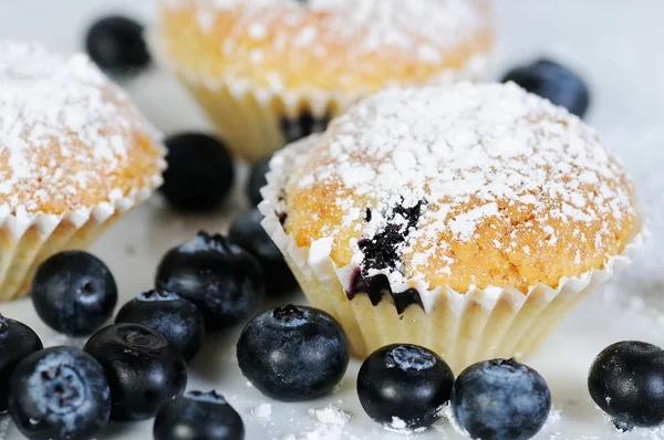 Kayrak üzerine pudra şekeri ile üç yumuşak blueberry muffins — Stok fotoğraf