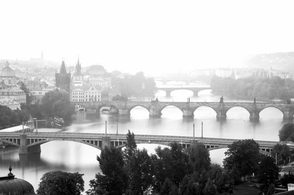 Prague in monochrom early in the morning — Stock Photo, Image