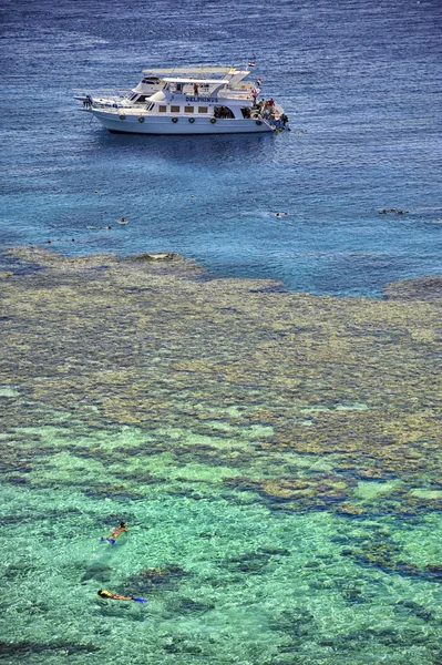 şnorkel, Kızıldeniz, sharm el-sheikh, Mısır
