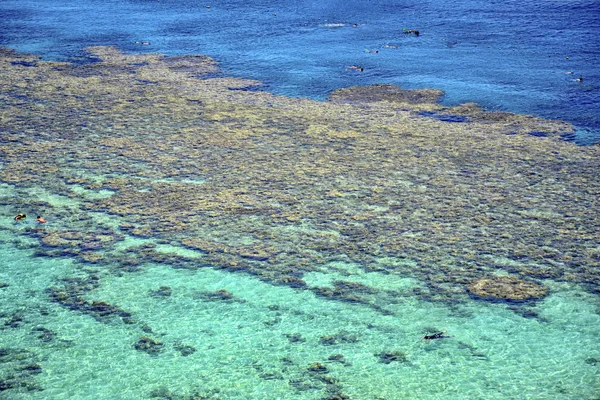 Snorkel, Mar Rojo, Sharm el-Sheikh, Egipto — Foto de Stock