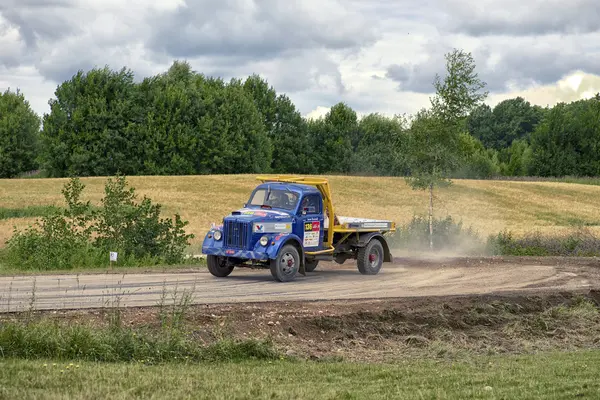 Estonya 2013 ralli