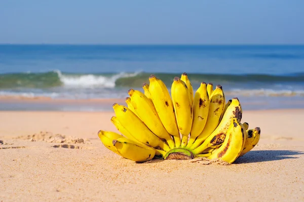 Bananenstrauß — Stockfoto