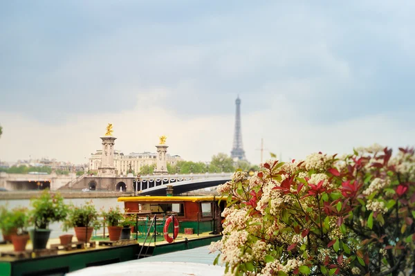 Parisian view — Stock Photo, Image