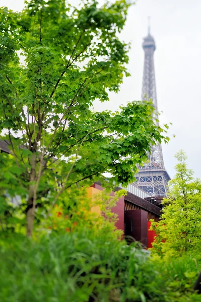 Eiffel vizyonu — Stok fotoğraf