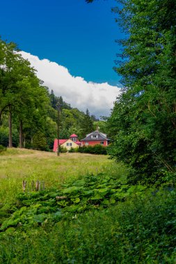 Yaz sonu yürüyüşü. Kleinschmalkalden yakınlarındaki Thuringian Ormanı 'nda.