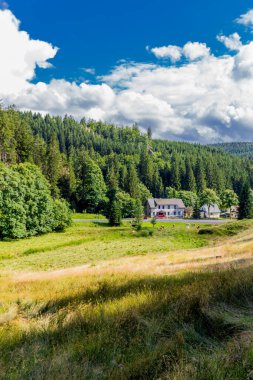 Yaz sonu yürüyüşü. Kleinschmalkalden yakınlarındaki Thuringian Ormanı 'nda.