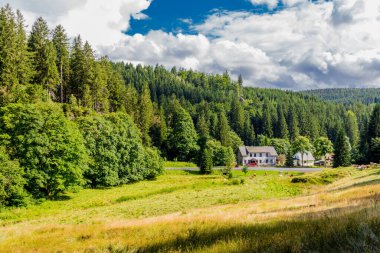 Yaz sonu yürüyüşü. Kleinschmalkalden yakınlarındaki Thuringian Ormanı 'nda.