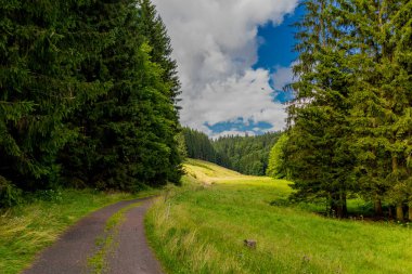 Yaz sonu yürüyüşü. Kleinschmalkalden yakınlarındaki Thuringian Ormanı 'nda.