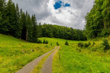 Yaz sonu yürüyüşü. Kleinschmalkalden yakınlarındaki Thuringian Ormanı 'nda.