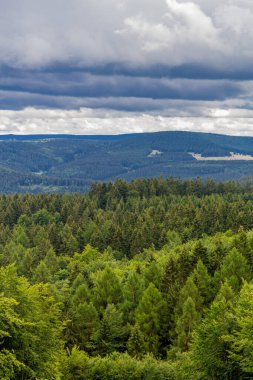 Yaz sonu yürüyüşü. Kleinschmalkalden yakınlarındaki Thuringian Ormanı 'nda.