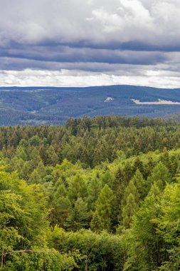 Yaz sonu yürüyüşü. Kleinschmalkalden yakınlarındaki Thuringian Ormanı 'nda.