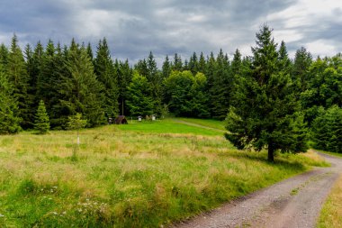 Yaz sonu yürüyüşü. Kleinschmalkalden yakınlarındaki Thuringian Ormanı 'nda.