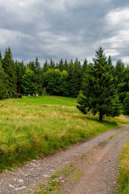 Yaz sonu yürüyüşü. Kleinschmalkalden yakınlarındaki Thuringian Ormanı 'nda.