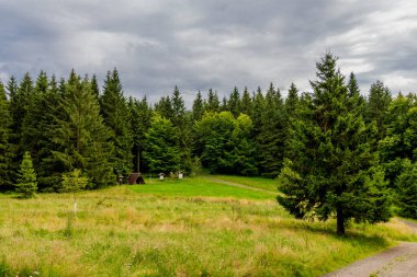 Yaz sonu yürüyüşü. Kleinschmalkalden yakınlarındaki Thuringian Ormanı 'nda.
