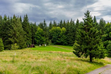 Yaz sonu yürüyüşü. Kleinschmalkalden yakınlarındaki Thuringian Ormanı 'nda.