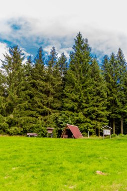 Yaz sonu yürüyüşü. Kleinschmalkalden yakınlarındaki Thuringian Ormanı 'nda.