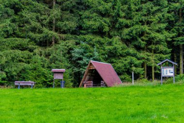 Yaz sonu yürüyüşü. Kleinschmalkalden yakınlarındaki Thuringian Ormanı 'nda.