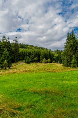 Yaz sonu yürüyüşü. Kleinschmalkalden yakınlarındaki Thuringian Ormanı 'nda.