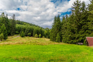Yaz sonu yürüyüşü. Kleinschmalkalden yakınlarındaki Thuringian Ormanı 'nda.