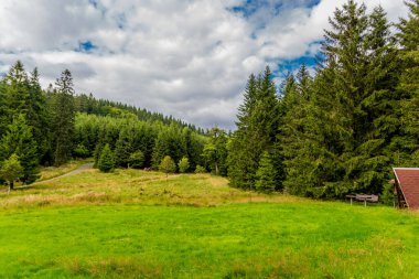 Yaz sonu yürüyüşü. Kleinschmalkalden yakınlarındaki Thuringian Ormanı 'nda.