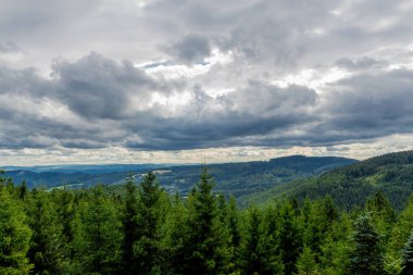 Yaz sonu yürüyüşü. Kleinschmalkalden yakınlarındaki Thuringian Ormanı 'nda.