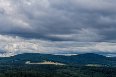 Yaz sonu yürüyüşü. Kleinschmalkalden yakınlarındaki Thuringian Ormanı 'nda.