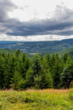 Yaz sonu yürüyüşü. Kleinschmalkalden yakınlarındaki Thuringian Ormanı 'nda.