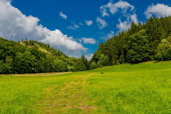 Promenade Estivale Tardive Dans Forêt Thuringe Près Kleinschmalkalden — Photo