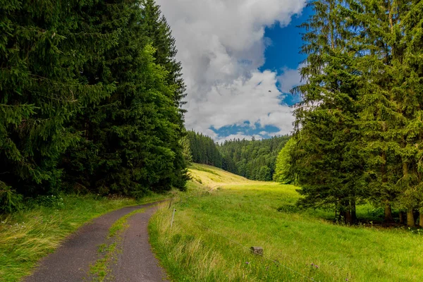 Yaz sonu yürüyüşü. Kleinschmalkalden yakınlarındaki Thuringian Ormanı 'nda.