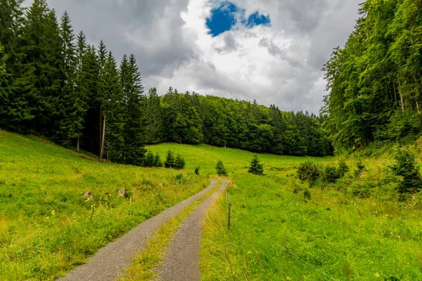 Yaz sonu yürüyüşü. Kleinschmalkalden yakınlarındaki Thuringian Ormanı 'nda.