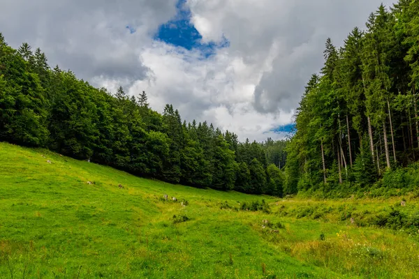 Spätsommerwanderung Durch Den Thüringer Wald Bei Kleinschmalkalden — Stockfoto
