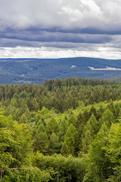Yaz sonu yürüyüşü. Kleinschmalkalden yakınlarındaki Thuringian Ormanı 'nda.