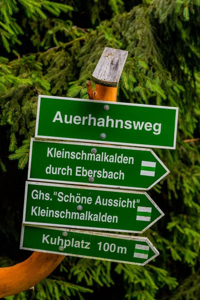 Yaz sonu yürüyüşü. Kleinschmalkalden yakınlarındaki Thuringian Ormanı 'nda.