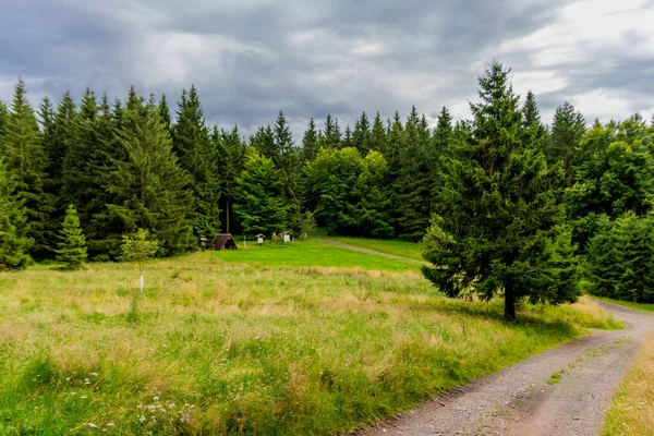 Caminhada Verão Pela Floresta Turíngia Perto Kleinschmalkalden — Fotografia de Stock