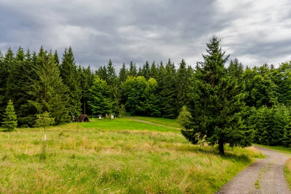 夏の終わりには Kleinschmalkalden近くのテューリンゲンの森を歩く — ストック写真