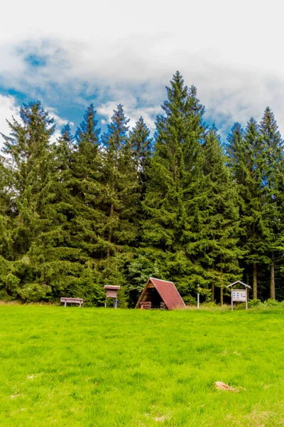 Yaz sonu yürüyüşü. Kleinschmalkalden yakınlarındaki Thuringian Ormanı 'nda.