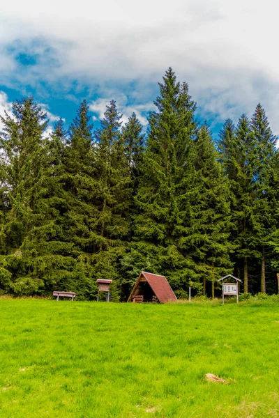 Yaz sonu yürüyüşü. Kleinschmalkalden yakınlarındaki Thuringian Ormanı 'nda.
