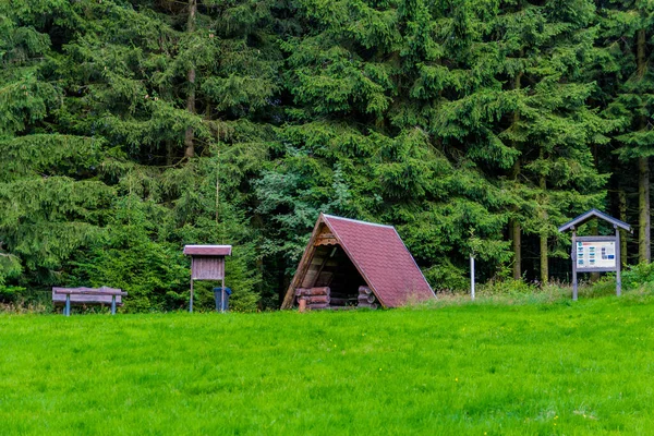 Yaz sonu yürüyüşü. Kleinschmalkalden yakınlarındaki Thuringian Ormanı 'nda.